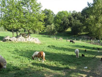 La Ferme Des 4 Chenes Hotel Urt ภายนอก รูปภาพ